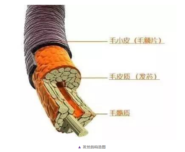 東莞市硅油：我不是魔鬼 | 冤枉錢終點站