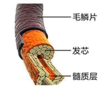 固原市深度剖析|無硅油VS含硅，洗發(fā)水究竟怎么選？