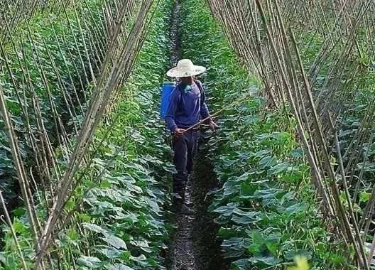 東莞市助劑好效果就好真的假的？