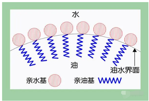 克拉瑪依市表面活性劑在生命體系